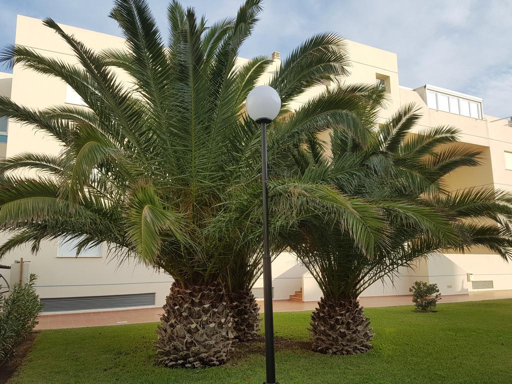 Alondras Playa Denia Leilighet Eksteriør bilde